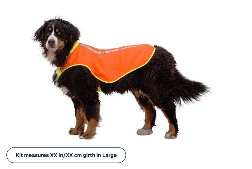 Lumenglow™ High-Vis Vest