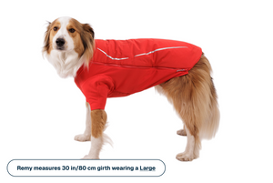 Powder Hound™ Waterproof Insulated Jacket