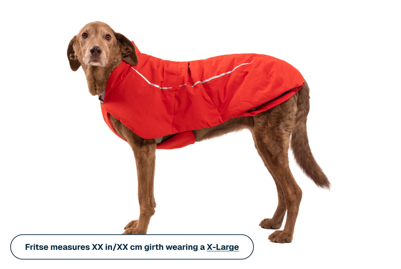 Powder Hound™ Waterproof Insulated Vest