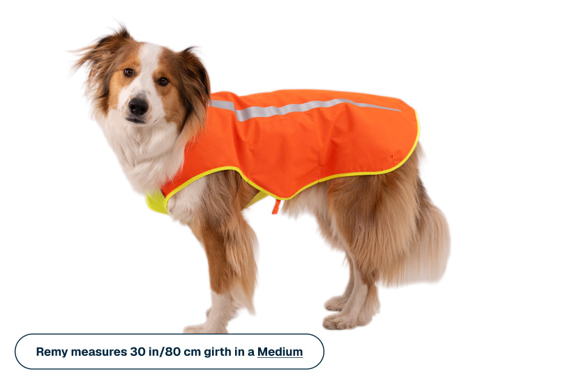 Lumenglow™ High-Vis Vest
