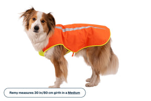 Lumenglow™ High-Vis Vest