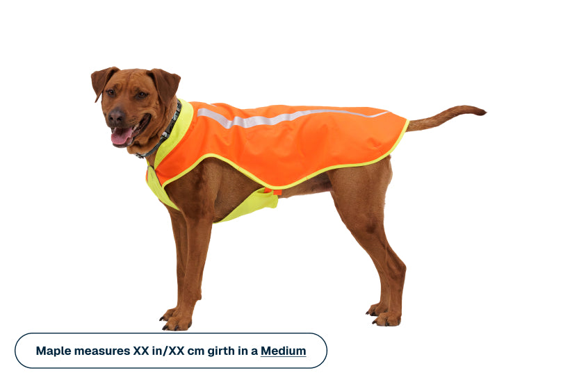 Lumenglow™ High-Vis Vest
