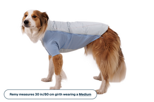 Powder Hound™ Waterproof Insulated Jacket