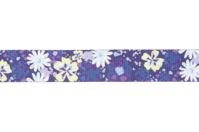 Front Range Collar Wildflower