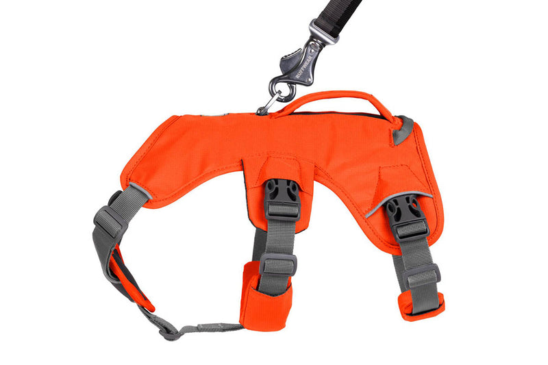 Web Master Harness Blaze Orange