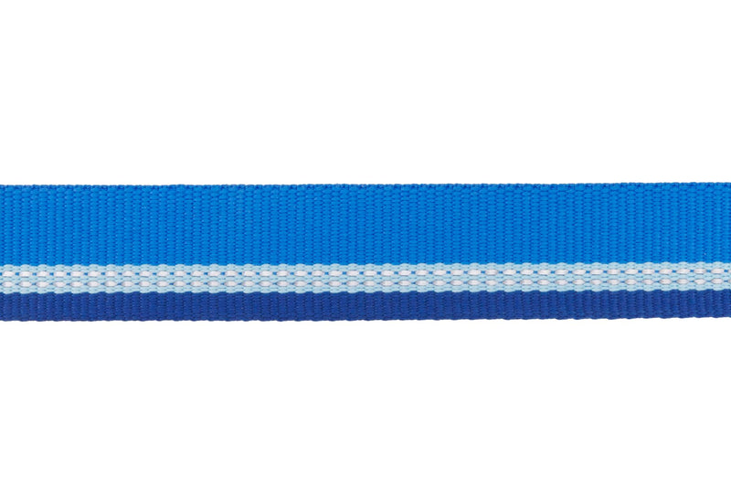 Top Rope Collar Blue Pool