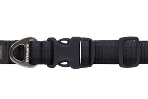 Front Range Collar Basalt Gray