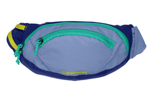 Home Trail Hip Pack