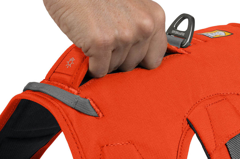 Web Master Harness Blaze Orange