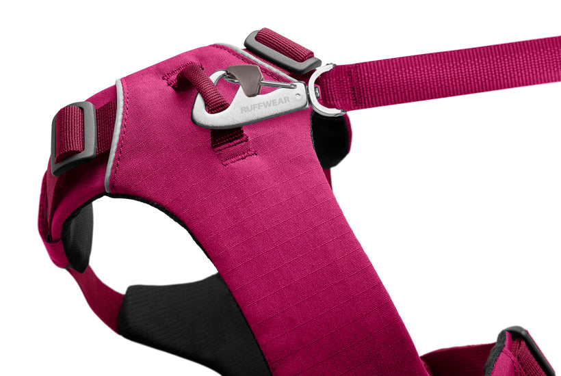 Front Range Harness Pink Mountains