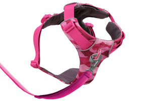 Front Range Harness Pink Mountains