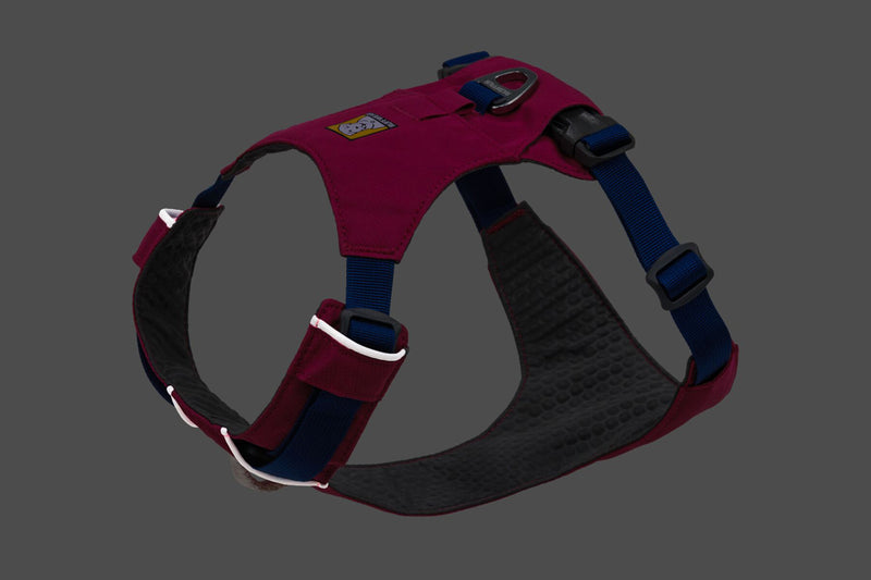 Hi & Light Harness Alpenglow Pink