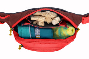 Home Trail Hip Pack