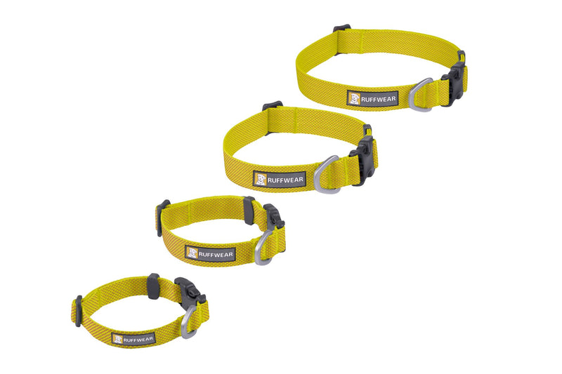 Hi & Light Collar Lichen Green