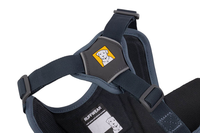 Web Master Harness Slate Blue