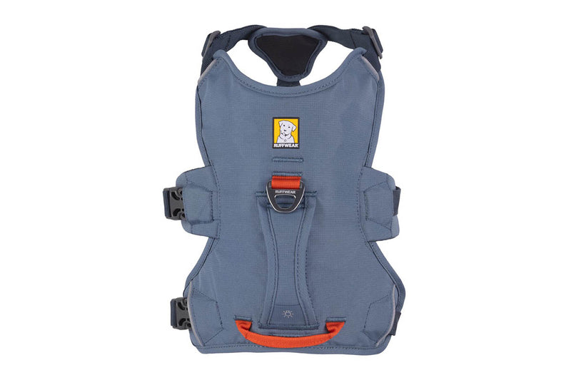 Web Master Harness Slate Blue