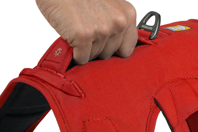 Web Master Harness Red Sumac