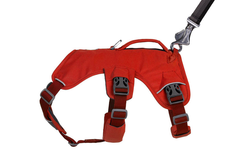 Web Master Harness Red Sumac