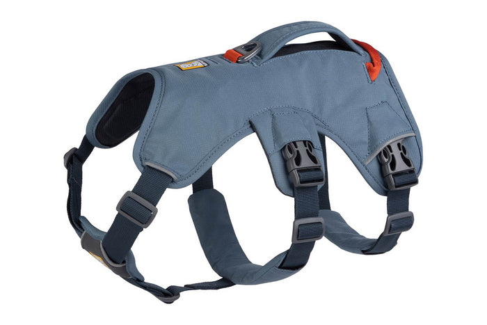 Web Master Harness Slate Blue