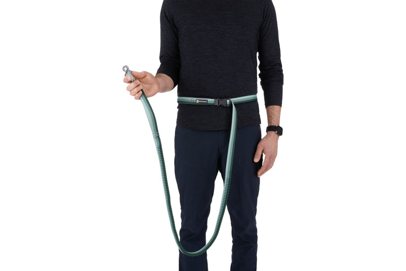 Roamer Leash River Rock Green