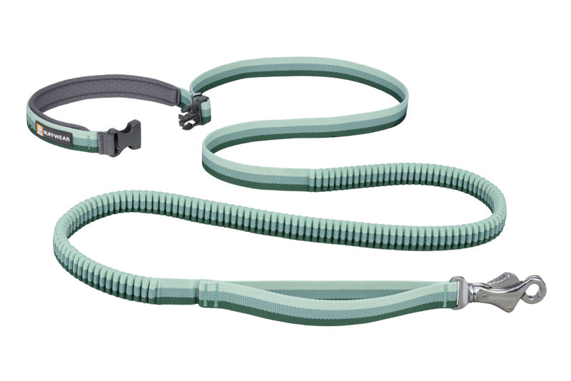 Roamer Leash River Rock Green