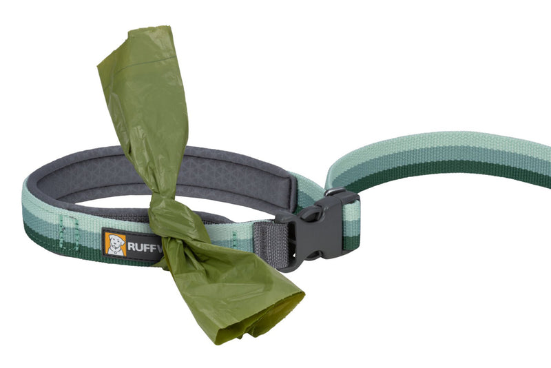 Roamer Leash River Rock Green