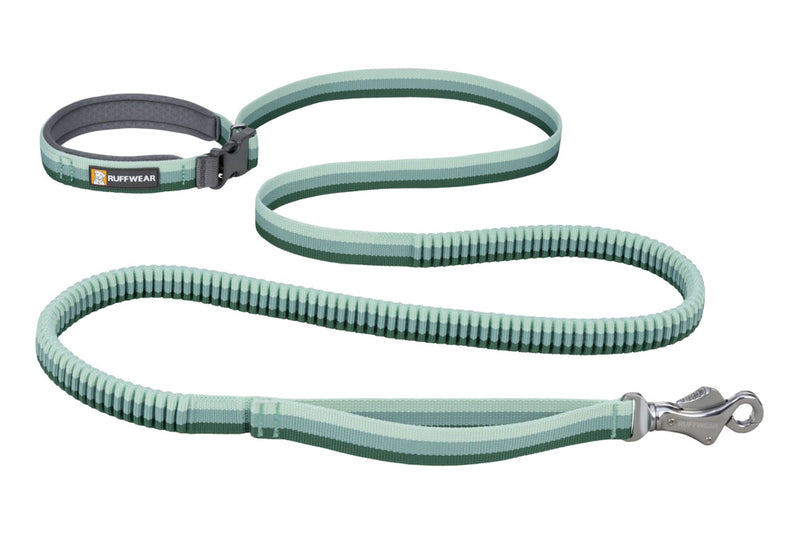 Roamer Leash River Rock Green