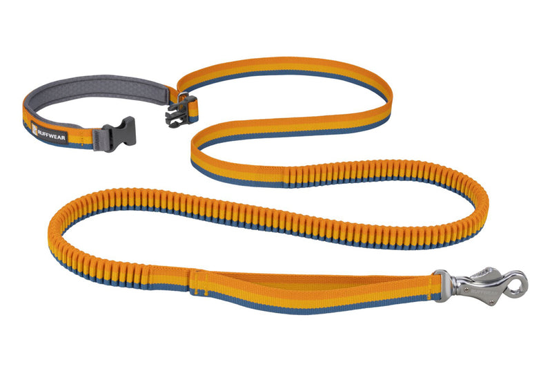 Roamer Leash Yellow Snow