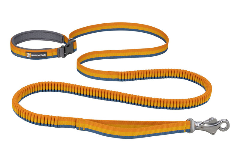 Roamer Leash Yellow Snow