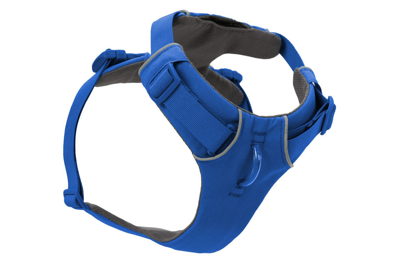 Front Range Harness Blue Pool