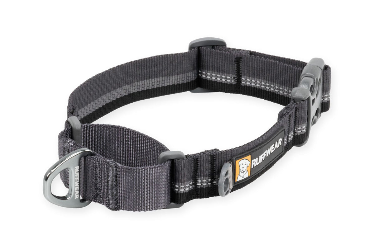 Web Reaction Collar Basalt Gray
