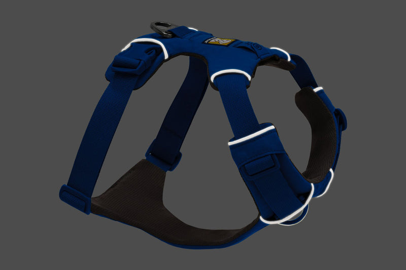 Front Range Harness Blue Pool