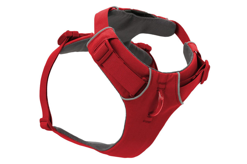 Front Range Harness Red Canyon